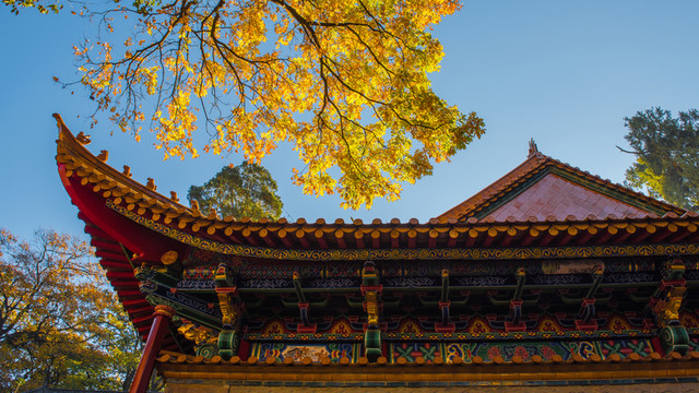 龍泉觀 風(fēng)光
