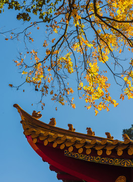 龍泉觀 風(fēng)光
