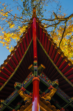龍泉觀 風(fēng)光