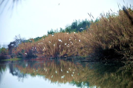 沙家浜風(fēng)景區(qū)
