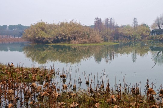 沙家浜風景區(qū)