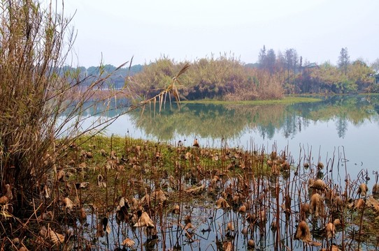 沙家浜風(fēng)景區(qū)