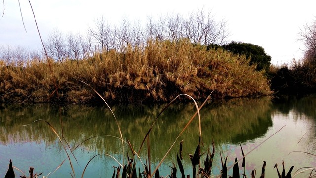 沙家浜風(fēng)景區(qū)