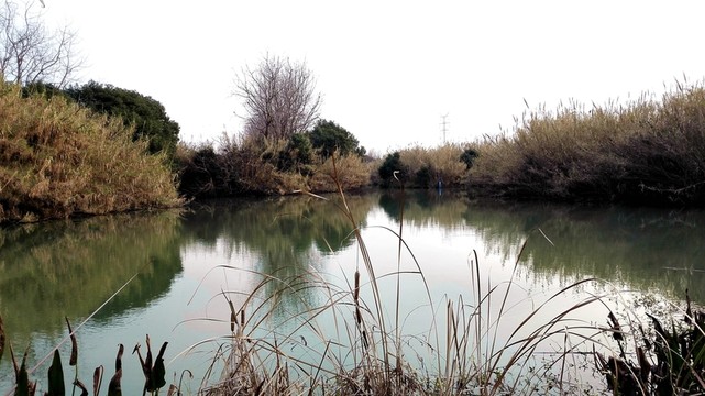 沙家浜風(fēng)景區(qū)