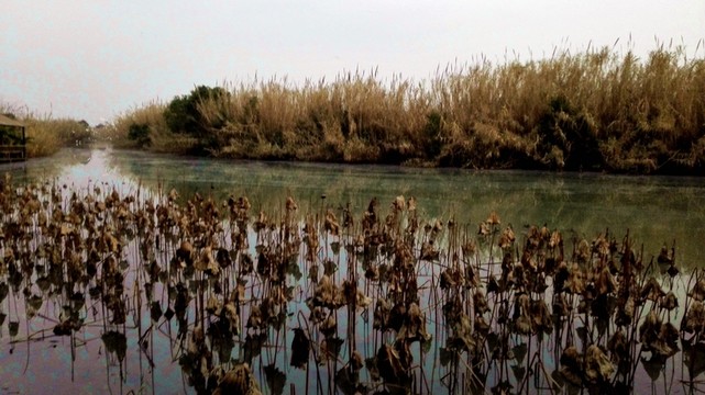 沙家浜風(fēng)景區(qū)