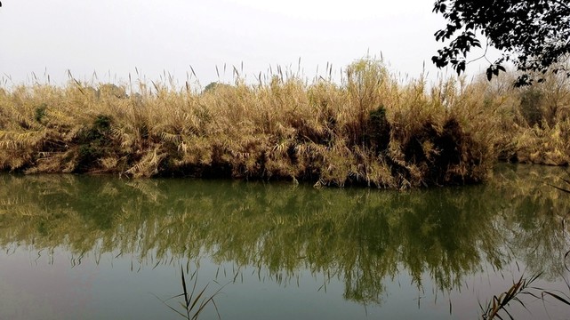 沙家浜風景區(qū)