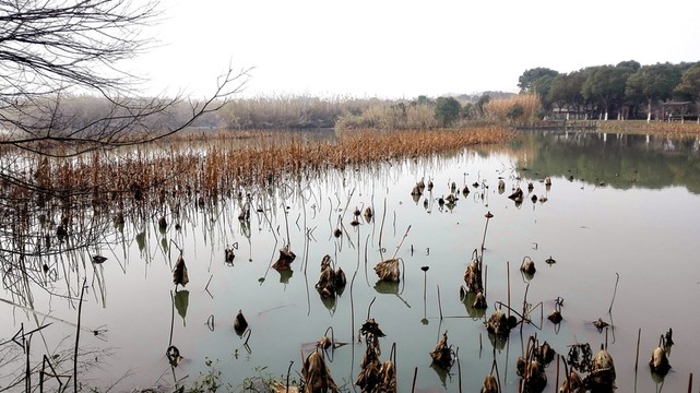 沙家浜風(fēng)景區(qū)