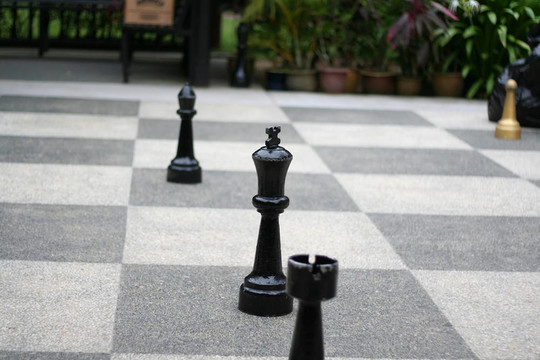 巨型象棋