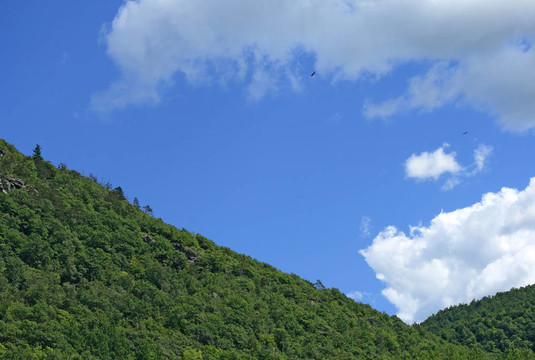 綠色的山坡
