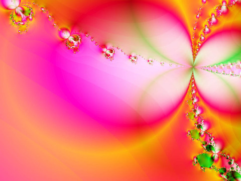 花的幻想