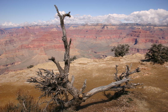 Canyon區(qū)