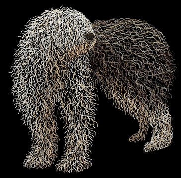 英國古代牧羊犬