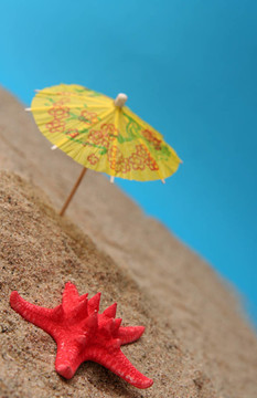夏天的雨傘