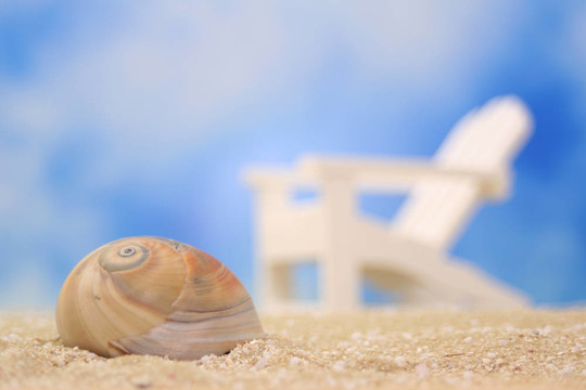 海貝殼
