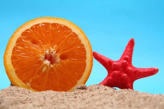 夏天的水果