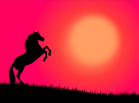 夕陽中的馬