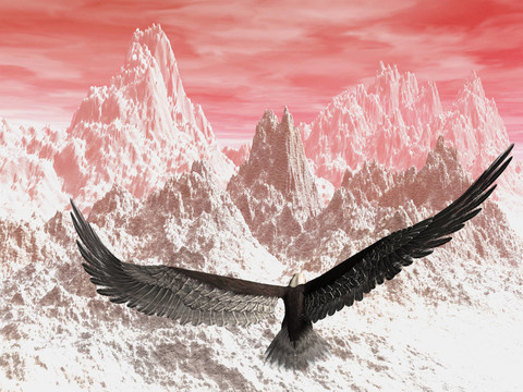 鷹