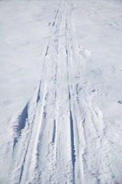 滑雪道