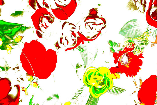 花摘要