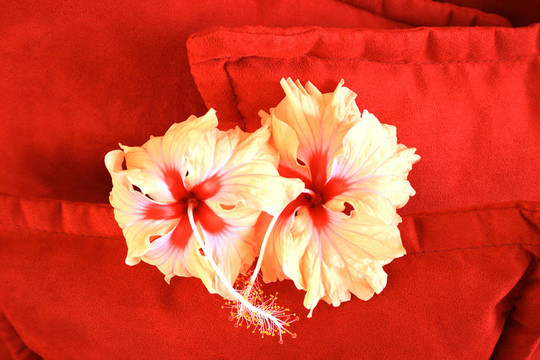 花