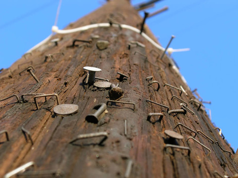 釘頭釘；電接線釘