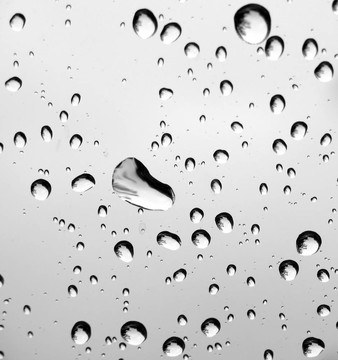 雨滴特寫