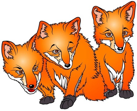 三只狐貍