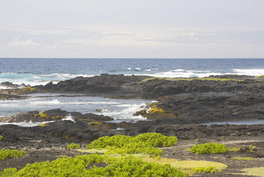 巖石和海洋；九區(qū)；比格艾蘭；夏威夷