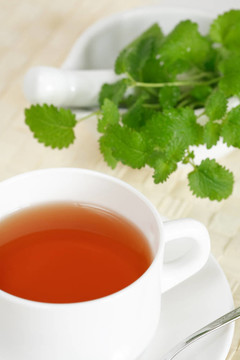 薄荷錫蘭茶