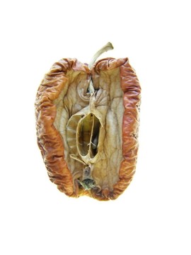 爛蘋果