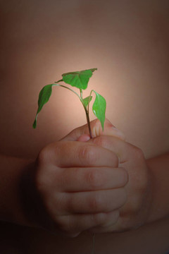 孩子和植物