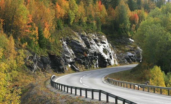 公路在秋天