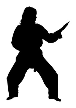 武術(shù)女子剪裁的剪影