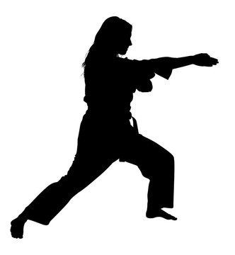 武術(shù)女子剪裁的剪影