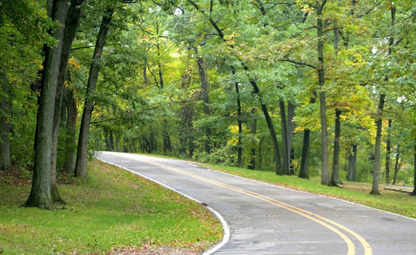 開車經(jīng)過Woods
