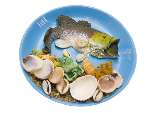 殼上的魚