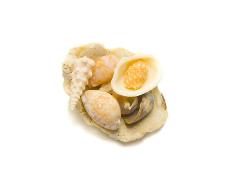 一個孤立的堆獨特的炮彈