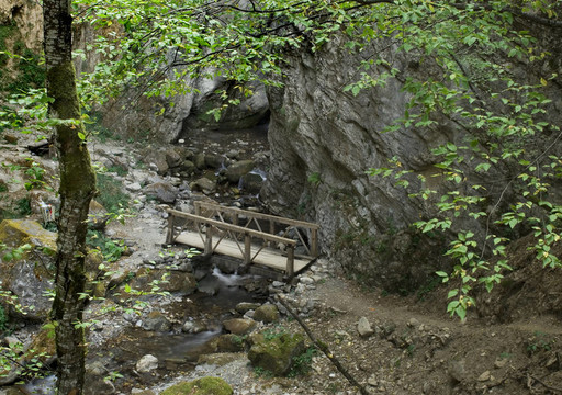 橋