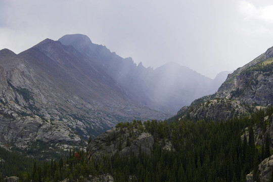山地雨林