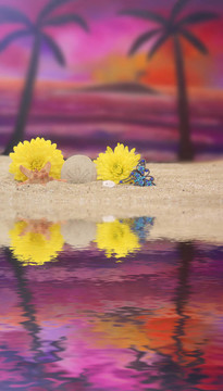 花在Beach