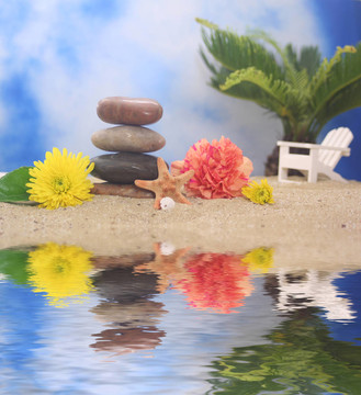 Beach的石頭和花