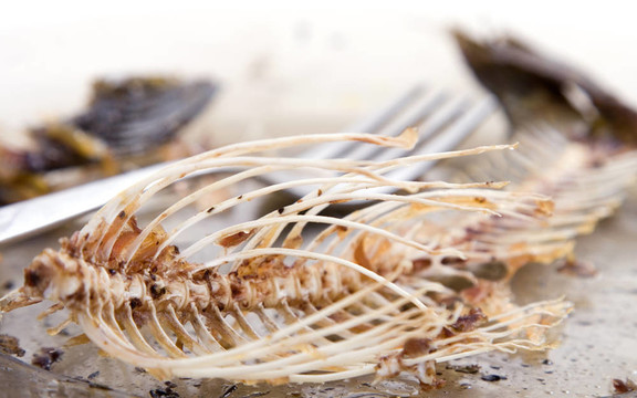 魚(yú)骨板