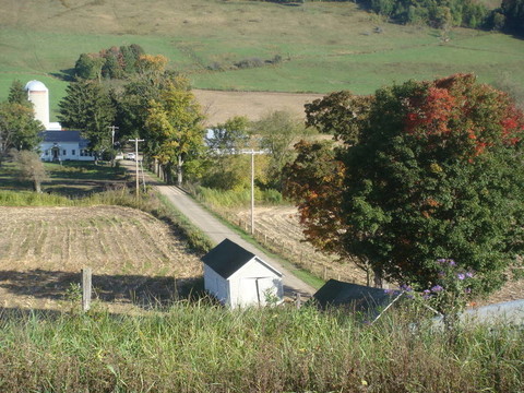 鄉(xiāng)村路