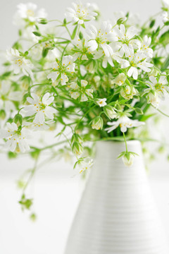 林花