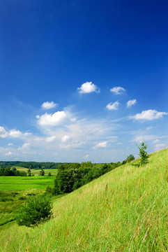 夏天的風(fēng)景