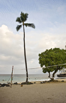 volleyballl法院和Beach