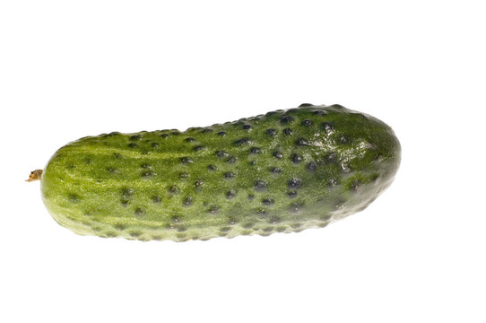 黃瓜白