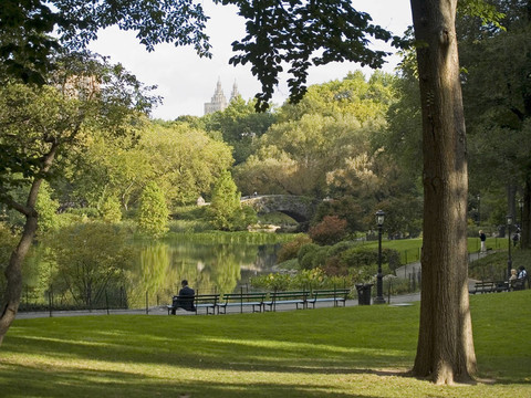 中央公園的景色