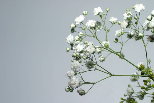 花角