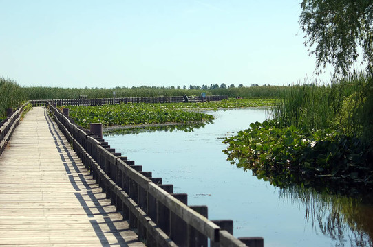 Pelee Walkboard的觀點(diǎn)